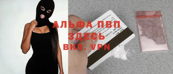 спайс Пересвет