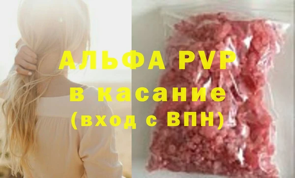 спайс Пересвет