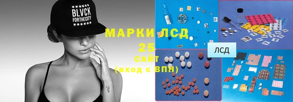 спайс Пересвет