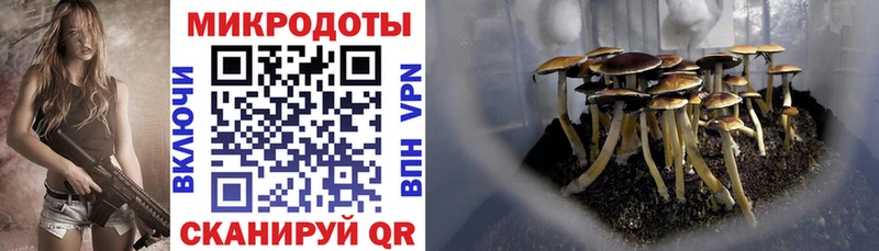Купить закладки Рыбное Псилоцибиновые грибы GOLDEN TEACHER
